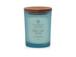 Svíčka CHESAPEAKE BAY 250g - REFLECTION & CLARITY