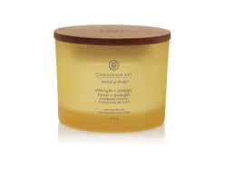 Svíčka CHESAPEAKE BAY 312g - STRENGHT & ENERGY