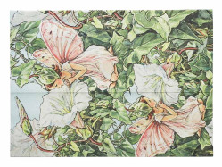 Paperblanks Desky na dokumenty A4 - Bindweed Fairy