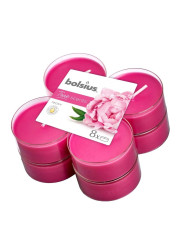 Bolsius Čajové svíčky MAXI - PEONY, 8 ks