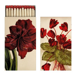 Sköna Ting Zápalky Orange Autumn Plants Amaryllis, 45ks