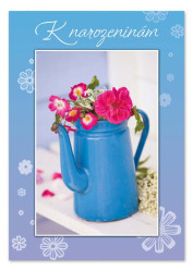 Ditipo Hrací přání ...VALČÍČEK / Brontosauři