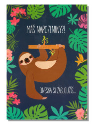 Albi Hrací přání k narozeninám LENOCHOD / LAZY SONG