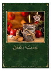 Ditipo Hrací přání vánoční ... SKOŘÁPKY OŘECHŮ / Marie Rottrová