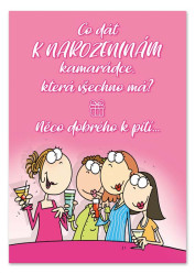 Ditipo Hrací přání SVOU PARTU PŘÁTEL JEŠTĚ NAŠTĚSTÍ MÁM / Helena Vondráčková