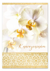 Ditipo Hrací přání BÍLÁ ORCHIDEJ / Eva a Vašek