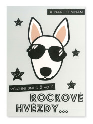 Albi Hrací přání VŠICHNI SNÍ O ŽIVOTĚ ROCKOVÉ HVĚZDY...