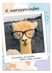 Ditipo Hrací přání NONSTOP / Michal David (Lama)