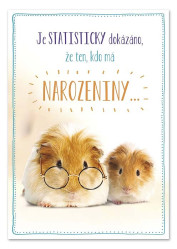 Ditipo Hrací přání STATISTIKA / Dagmar Patrasová