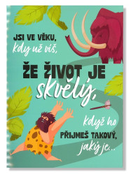 Albi Hrací přání Jsi ve věku... / Steve Wonder Happy Birthday, cover verze