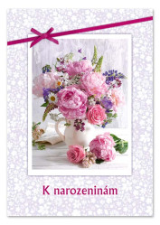 Ditipo Hrací přání narozeninové Studánko stříbrná / Hana Zagorová