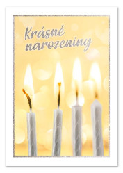 Ditipo Hrací přání narozeninové Písnička (feat.Pokáč) / Pavel Calta