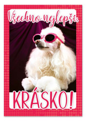 Ditipo Hrací přání TEĎ KRÁLOVNOU JSEM JÁ / Bára Basiková (pudl)