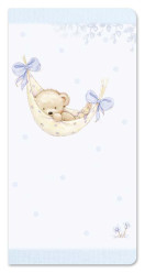 Ditipo Přání s kapsou na peníze - K narození chlapečka, 10x20cm