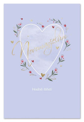 Ditipo Blahopřání I - NOVOMANŽELŮM Hodně štěstí (srdce modré)