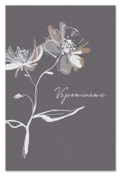 Ditipo Blahopřání HK - VZPOMÍNÁME (kondolence)