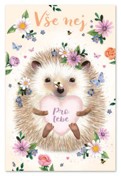 Ditipo Blahopřání GK - Vše nej / Pro tebe (ježek)