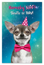 Ditipo Blahopřání GK - Narozky HAF, skvěle se bav.