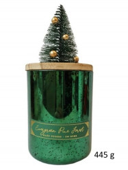 DW HOME - EVERGREEN PINE FOREST, vonná svíčka 445g