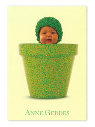 Mini přání ANNE GEDDES - Zelený květináč