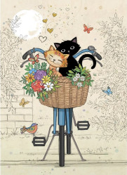 Luxusní přání H046 BUG ART - BIKE KITTIES