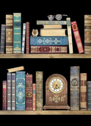 Luxusní přání M137 BUG ART - BOOKSHELVES