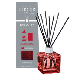 Maison Berger ODOUR FROM KITCHEN, difuzér proti kuchyňskému zápachu 125ml