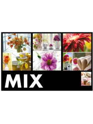 Fotoalbum 9x13/36 P2-3536 Fandy WELFARE mix / 1 ks