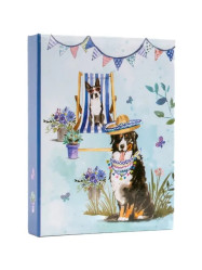 Fotoalbum 10x15/36 DPH4636B Fandy SNUG 1 pejsek
