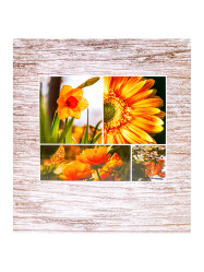 Fotoalbum samolepicí 100stran DRS50 Fandy INCOLOR 2