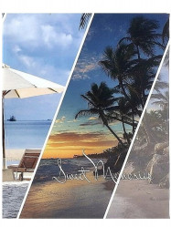 Fotoalbum samolepicí 60stran DRS30 Gedeon PALM 3