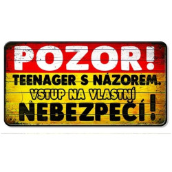 Nekupto Plechová cedulka POZOR! Teenager s názorem ...