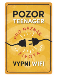 Nekupto Retro cedulka - POZOR TEENAGER, 20x30cm