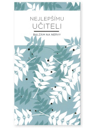 Albi Dárková čokoláda 50g - NEJLEPŠÍMU UČITELI, balzám na nervy