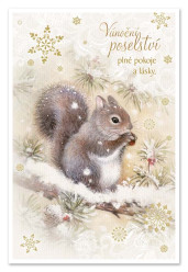 Ditipo Blahopřání I - Vánoční poseltví plné pokoje a lásky.