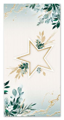 Ditipo Vánoční kapsa na peníze - HVĚZDA