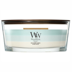 Vonná svíčka WoodWick Trilogy Driftwood Shores, široký knot 453 g
