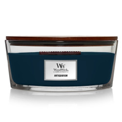 Vonná svíčka WoodWick ANTIQUARIUM, široký knot 453,6 g