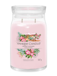 Yankee Candle DESSERT BLOOMS, signature velká svíčka 567 g