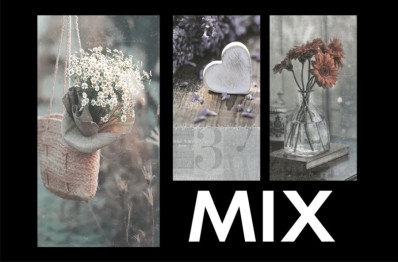 Fotoalbum 10x15/96 P2-4696 Fandy CRUET MIX / cena 1ks