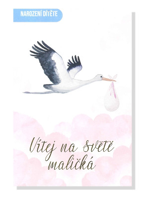 Nekupto Blahopřání F - VÍTEJ NA SVĚTĚ MALIČKÁ