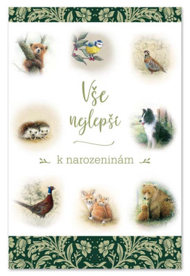 Ditipo Blahopřání GK - Vše nejlepší (myslivecké)