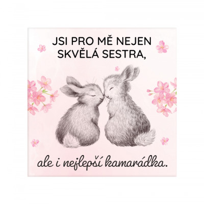 Albi Originální magnetka - JSI PRO MĚ NEJEN SKVĚLÁ SESTRA