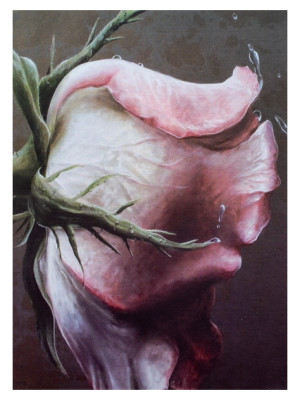 Fotoalbum 9x13/200 B35200 Fandy FLORET 1 - RŮŽE