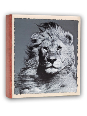 Fotoalbum 13x19/200 ZEP WILD LIFE - LEV