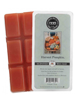 Bridgewater HARVEST PUMPKIN vonný vosk 73 g