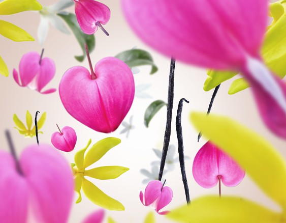 detail Maison Berger AROMA LOVE, náplň katalytické lampy 500ml