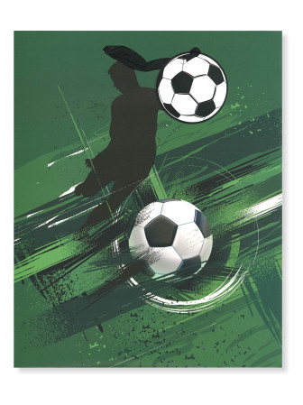 detail Albi Dárková taška L - FOTBAL, jeden hráč