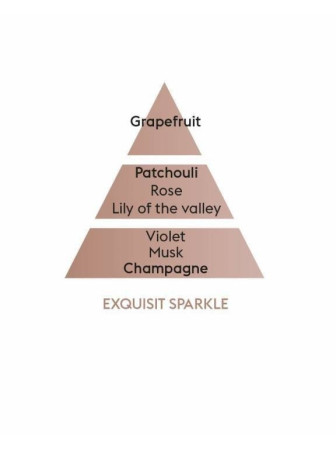 detail Maison Berger CAR - EXQUISITE SPARKLE, keramická náplň 2 ks