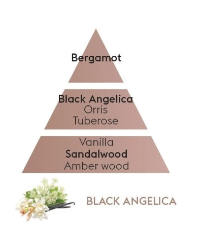 detail Maison Berger BLACK ANGELICA, náplň do difuzéru 200ml